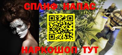 трава Партизанск