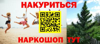 трава Партизанск