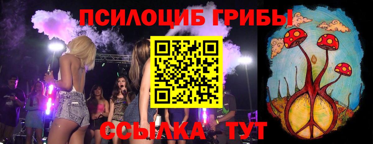 Новошахтинск  Галлюциногенные грибы Psilocybine cubensis  Вход с VPN 